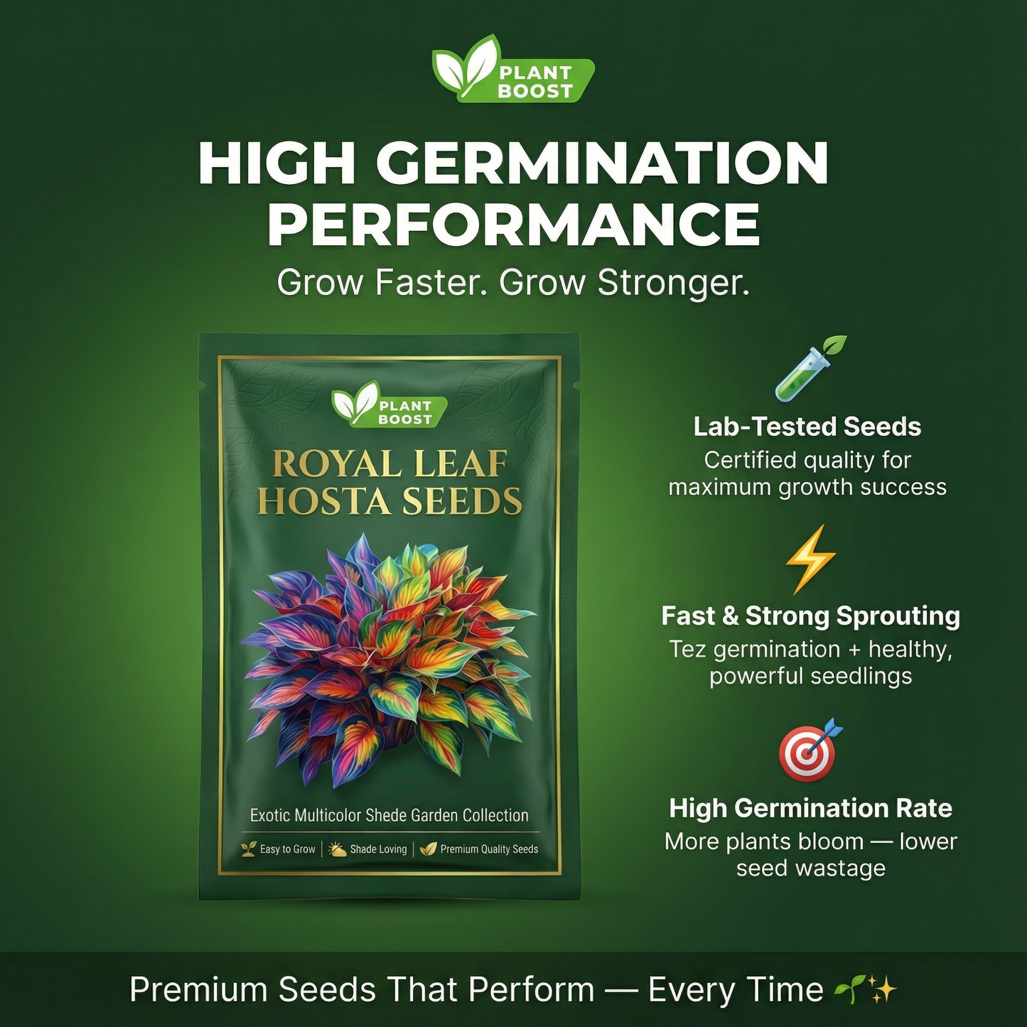 Royal Leaf Hosta Seeds