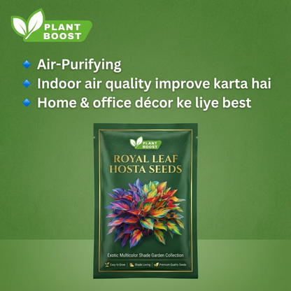 Royal Leaf Hosta Seeds