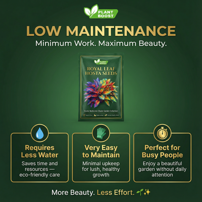 Royal Leaf Hosta Seeds